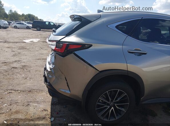 2T2GGCEZ3RC040087 2024 LEXUS NX 350 Gray 