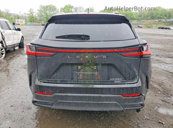 2T2GGCEZ3SC060538 2025 LEXUS NX Black Vista trasera