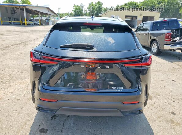 2T2GGCEZ3SC062743 2025 LEXUS NX Black Widok z tyłu