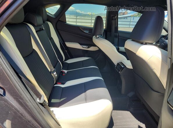 2T2GGCEZ4PC021965 2023 LEXUS NX Gray Vista interior trasera