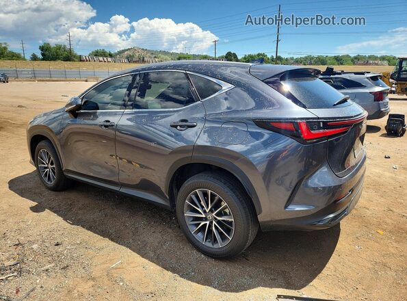 2T2GGCEZ4PC021965 2023 LEXUS NX Gray Trasero izquierdo