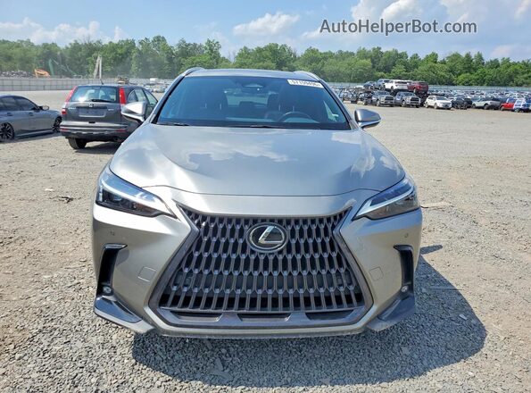 2T2GGCEZ5PC022557 2023 LEXUS NX Gray Widok z przodu