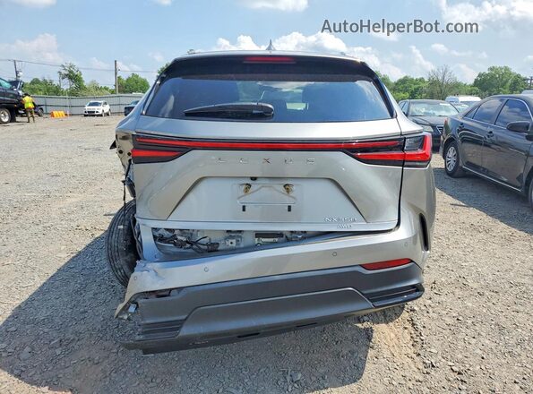 2T2GGCEZ5PC022557 2023 LEXUS NX Gray Widok z tyłu