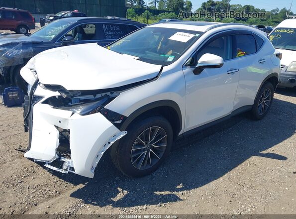 2T2GGCEZ5SC093217 2025 LEXUS NX 350 White Передня ліва чверть