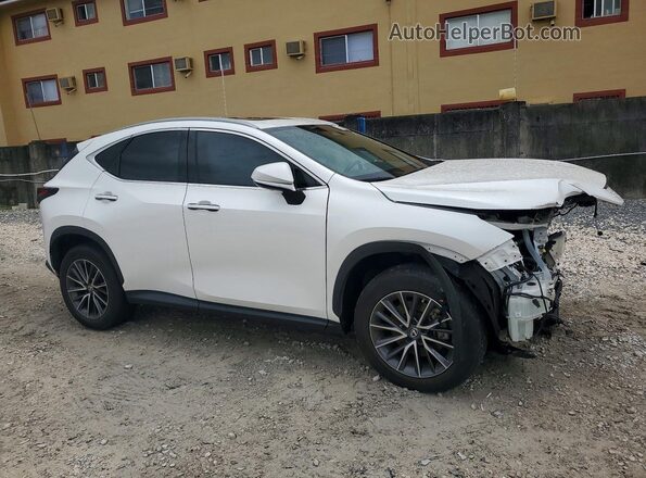 2T2GGCEZ6NC012228 2022 LEXUS NX White Front right