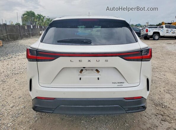 2T2GGCEZ6NC012228 2022 LEXUS NX White Rear view