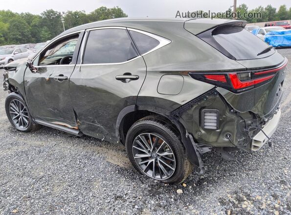2T2GGCEZXTC100924 2026 LEXUS NX Green Trasero izquierdo