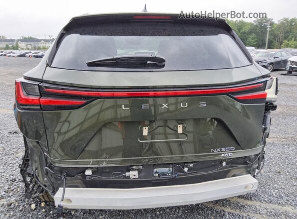 2T2GGCEZXTC100924 2026 LEXUS NX Green Vista trasera