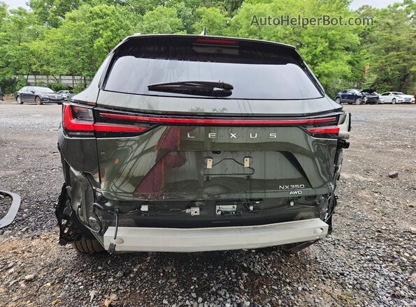 2T2GGCEZXTC100924 2026 LEXUS NX Green 