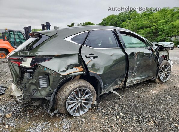 2T2GGCEZXTC100924 2026 LEXUS NX Green 