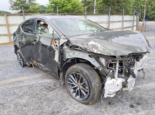 2T2GGCEZXTC100924 2026 LEXUS NX Green Delantero derecho