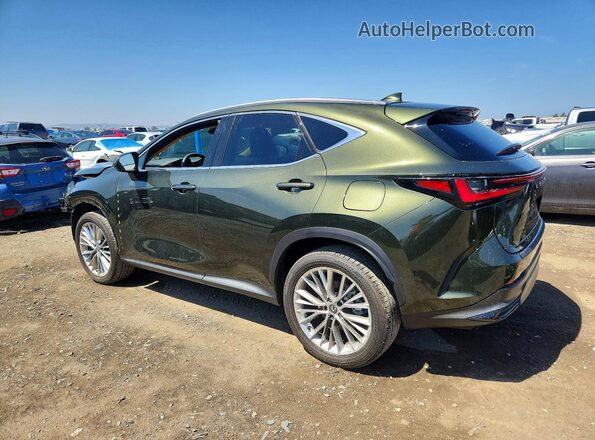 2T2GKCEZ0SC055215 2025 LEXUS NX Green Trasero izquierdo