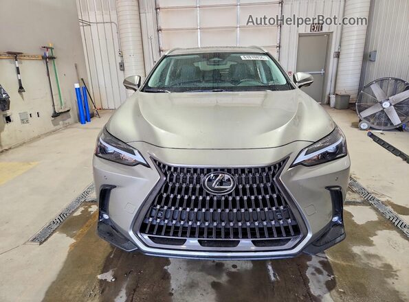 2T2GKCEZ0TC073442 2026 LEXUS NX Серый Вид спереди