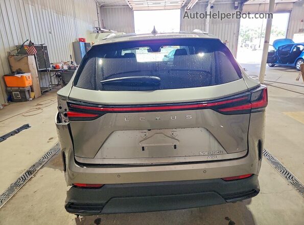 2T2GKCEZ0TC073442 2026 LEXUS NX Серый Вид сзади
