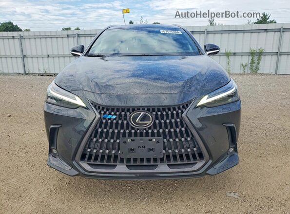 2T2GKCEZ2NC006764 2022 LEXUS NX Black Vista frontal