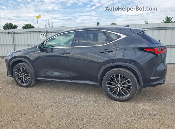 2T2GKCEZ2NC006764 2022 LEXUS NX Black Trasero izquierdo