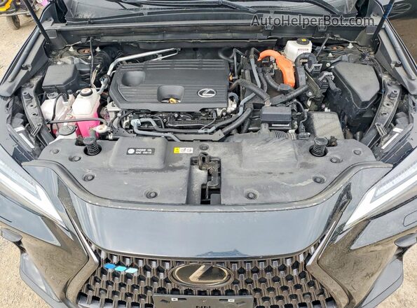 2T2GKCEZ2NC006764 2022 LEXUS NX Black Vista del compartimento del motor