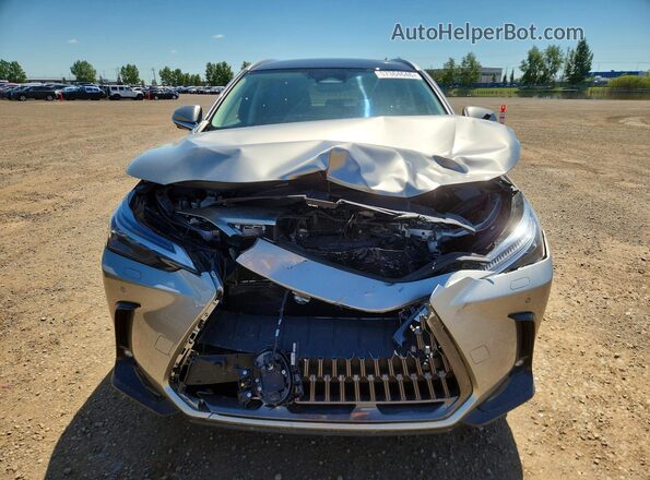 2T2GKCEZ6RC017658 2024 LEXUS NX Silver Front view