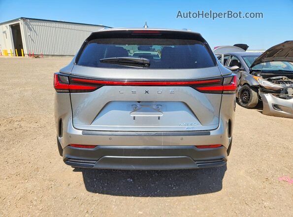 2T2GKCEZ6RC017658 2024 LEXUS NX Silver Rear view