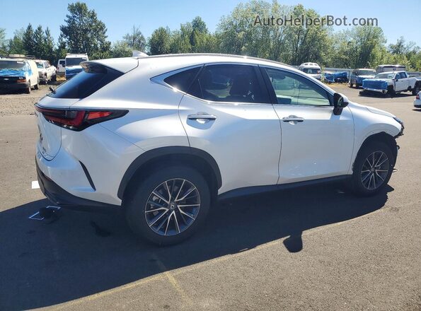 2T2GKCEZ6RC019930 2024 LEXUS NX White Задня права чверть