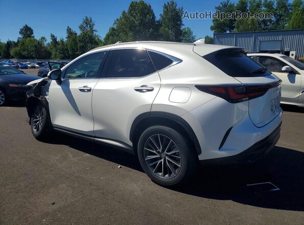 2T2GKCEZ6RC019930 2024 LEXUS NX White Задня ліва чверть