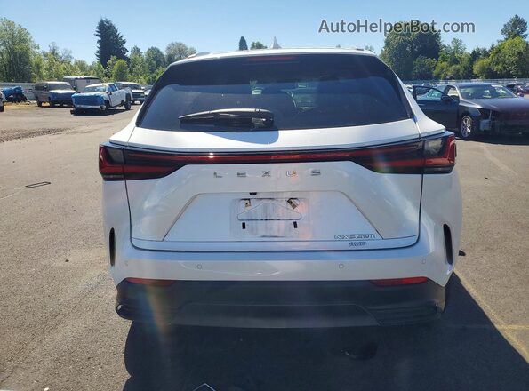 2T2GKCEZ6RC019930 2024 LEXUS NX White Вид ззаду