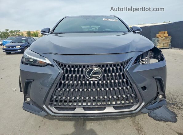 2T2GKCEZ6SC035759 2025 LEXUS NX Gray Front view