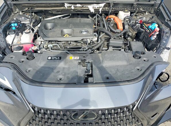 2T2GKCEZ6SC035759 2025 LEXUS NX Gray Engine compartment view