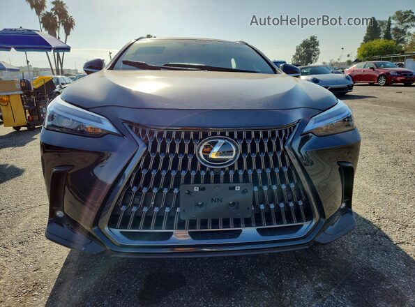 2T2GKCEZ7SC040551 2025 LEXUS NX Black Вид спереду
