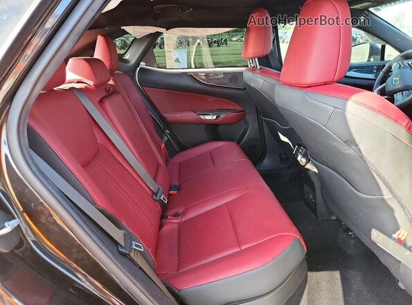 2T2GKCEZ7SC040551 2025 LEXUS NX Black Вид задньої частини салону