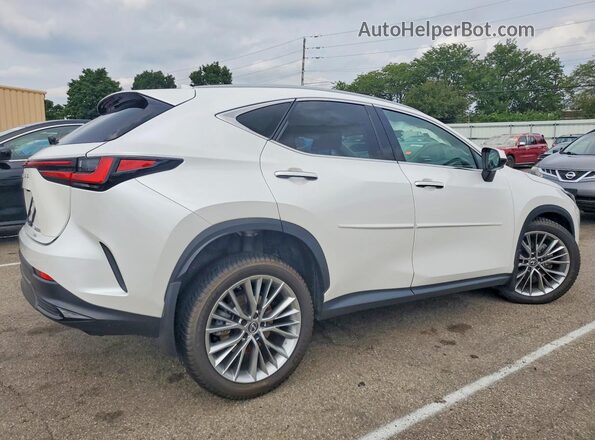 2T2GKCEZ7SC050500 2025 LEXUS NX Белый Задняя правая четверть