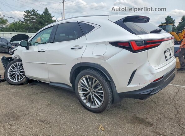 2T2GKCEZ7SC050500 2025 LEXUS NX Белый Задняя левая четверть