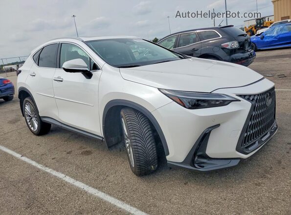 2T2GKCEZ7SC050500 2025 LEXUS NX Белый Передняя правая четверть