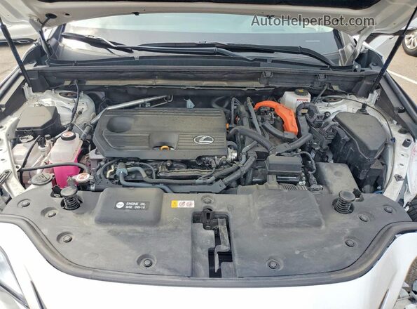 2T2GKCEZ7SC050500 2025 LEXUS NX Белый Вид подкапотного пространства