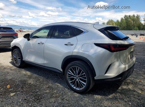 2T2GKCEZ9PC010278 2023 LEXUS NX White Tył lewy
