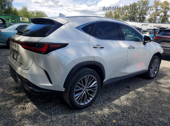 2T2GKCEZ9PC010278 2023 LEXUS NX White Tył prawy