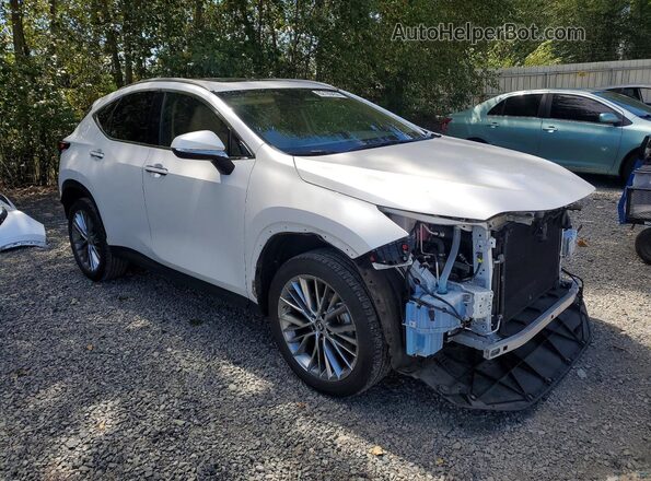 2T2GKCEZ9PC010278 2023 LEXUS NX White Przód prawy