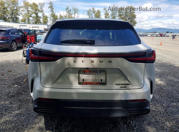 2T2GKCEZ9PC010278 2023 LEXUS NX White Widok z tyłu