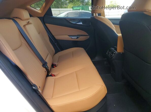 2T2GKCEZ9PC010278 2023 LEXUS NX White Widok wnętrza z tyłu