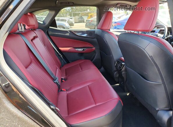 2T2GKCEZ9RC019257 2024 LEXUS NX Black Rear interior view