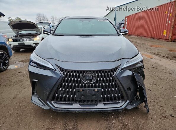 2T2GKCEZ9SC045718 2025 LEXUS NX Gray Դիմացի տեսք