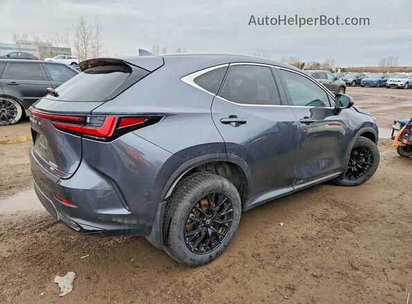 2T2GKCEZ9SC045718 2025 LEXUS NX Gray Հետևի աջ