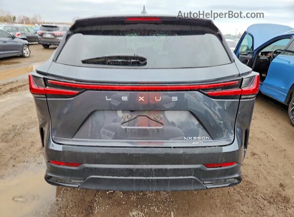 2T2GKCEZ9SC045718 2025 LEXUS NX Gray Հետևի տեսք