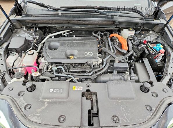 2T2GKCEZ9SC045718 2025 LEXUS NX Gray Շարժիչի բաժամունքի տեսք