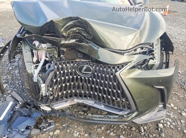 2T2GKCEZ9TC057448 2026 LEXUS NX Зеленый Вид задней части салона