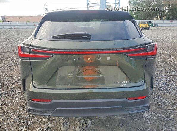 2T2GKCEZ9TC057448 2026 LEXUS NX Зеленый Вид сзади
