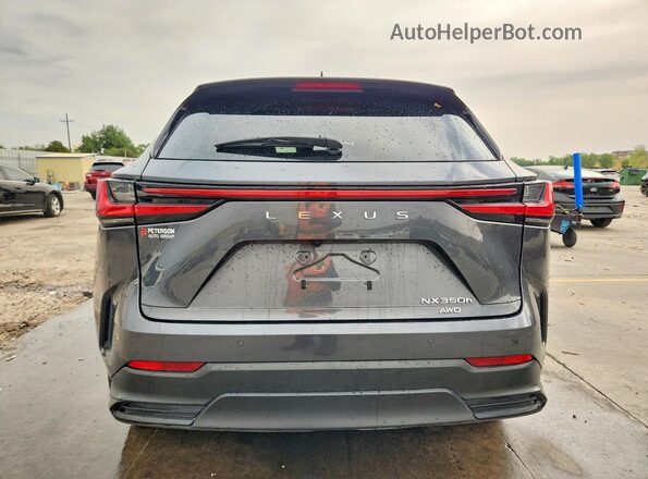 2T2GKCEZXNC004597 2022 LEXUS NX Gray Widok z tyłu
