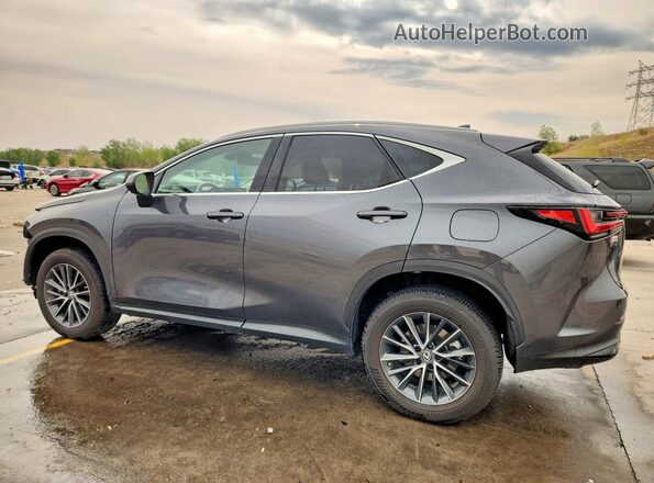 2T2GKCEZXNC004597 2022 LEXUS NX Gray Tył lewy