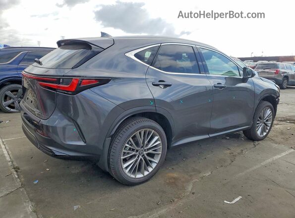 2T2GKCEZXTC063114 2026 LEXUS NX Gray Задня права чверть