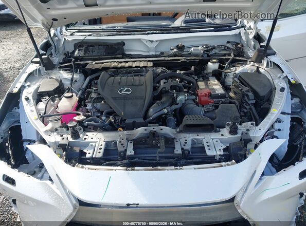2T2HGCEZ4SC061332 2025 LEXUS NX 350 White Rear view